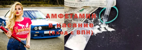 гидра Богородск