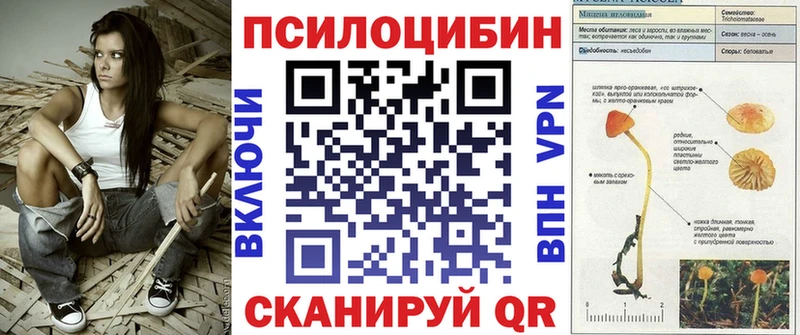 закладки  mega сайт  Галлюциногенные грибы Psilocybine cubensis  Голицыно 